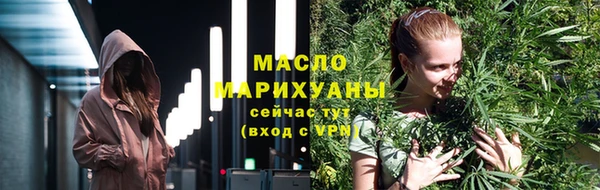 молекула духа Осташков