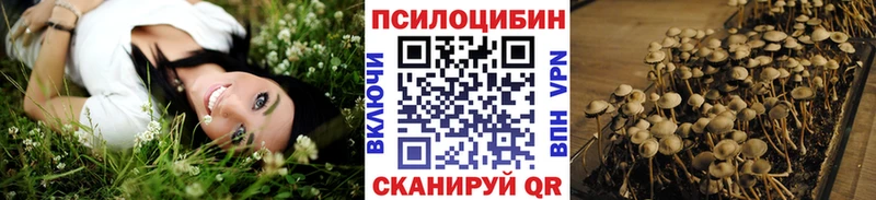 Псилоцибиновые грибы MAGIC MUSHROOMS  где купить наркоту  Владивосток 