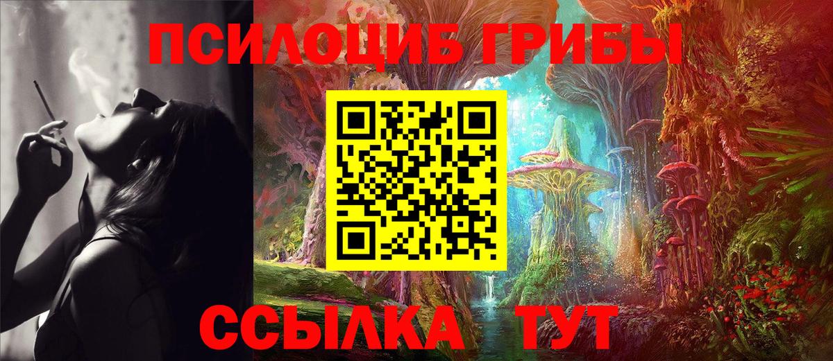 Галлюциногенные грибы мицелий Владивосток
