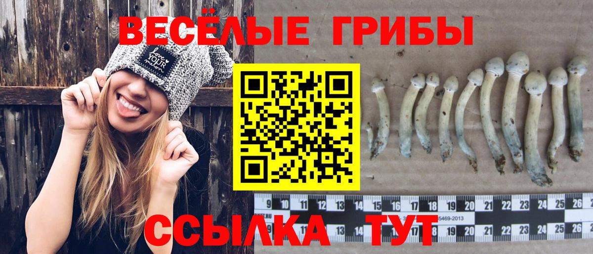 Галлюциногенные грибы MAGIC MUSHROOMS  Псилоцибиновые грибы Magic Shrooms  Вход с VPN  Владивосток 
